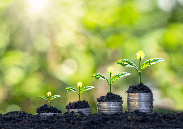 LA TACTIQUE DES PETITES VICTOIRES - Cabinet conseil en stratégie RSE Martinique Guadeloupe Guyane