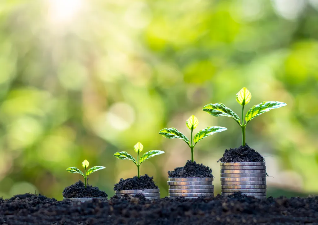 LA TACTIQUE DES PETITES VICTOIRES - Cabinet conseil en stratégie RSE Martinique Guadeloupe Guyane